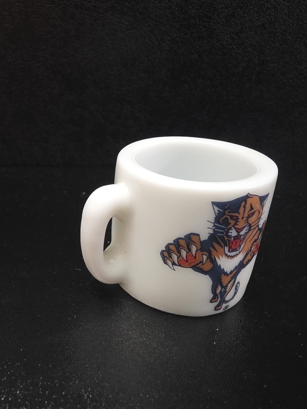Florida panthers mini Mug